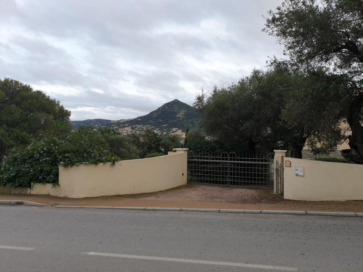 Villa Athena L'Ile-Rousse  Luaran gambar